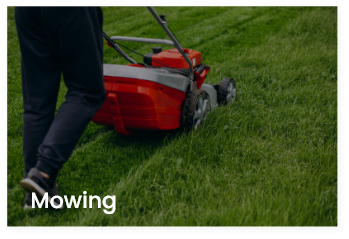 mowing